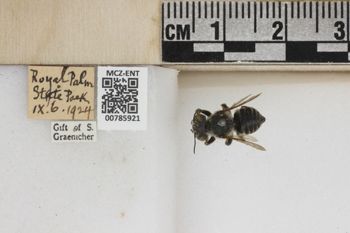 Media type: image;   Entomology 785921 Aspect: Labels